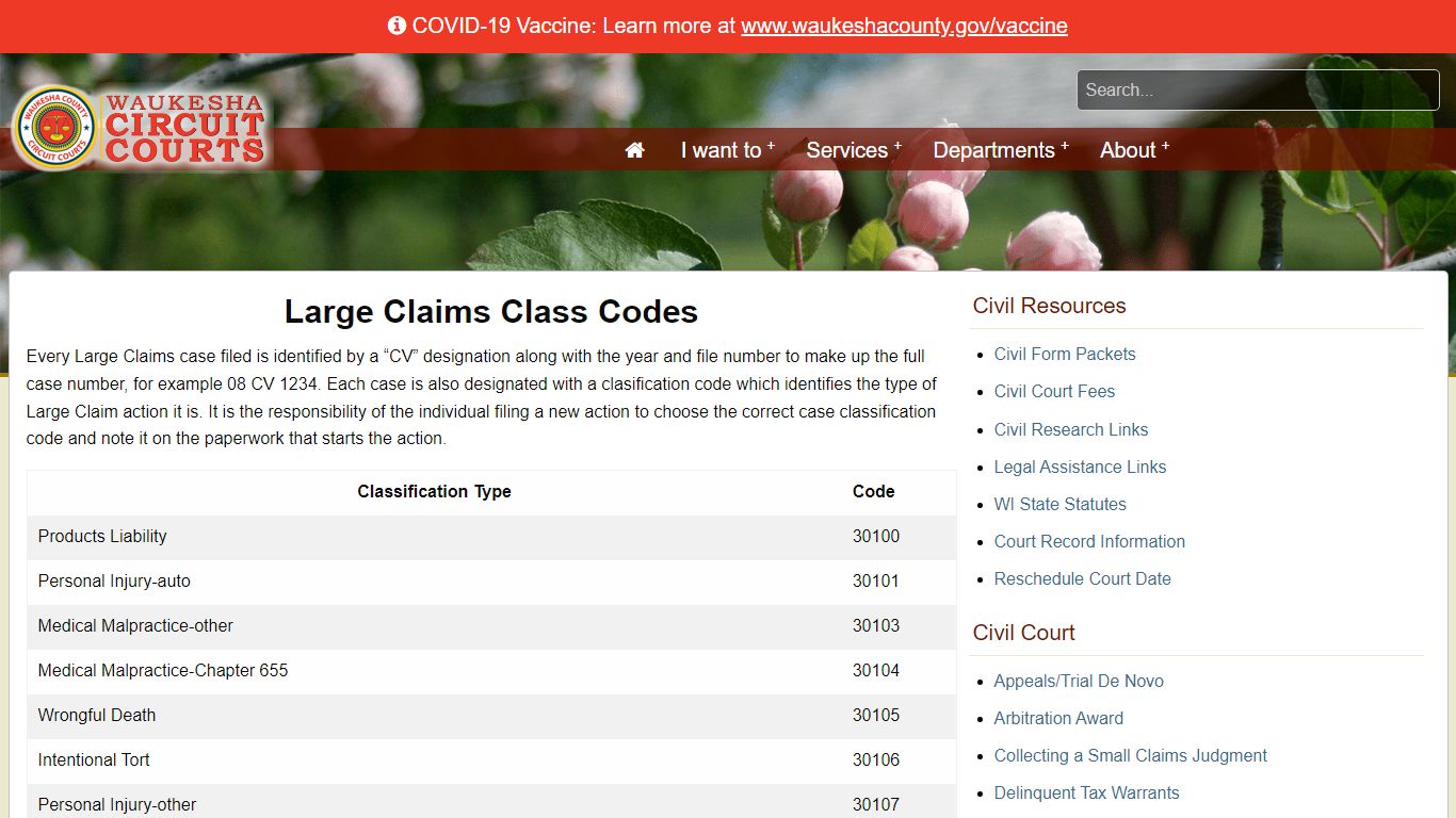 Waukesha County - Large Claims Class Codes